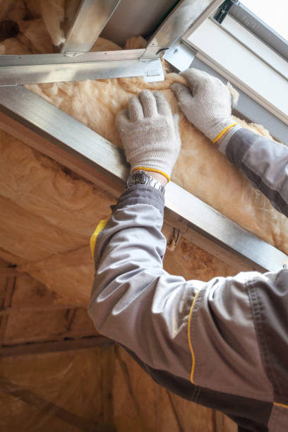 Types of Insulation We Offer in Johnson, AR