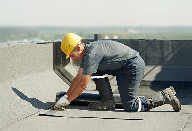 Best Insulation Maintenance and Repair in Johnson, AR