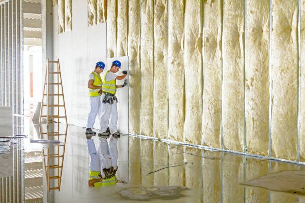 Best Residential Insulation in Johnson, AR